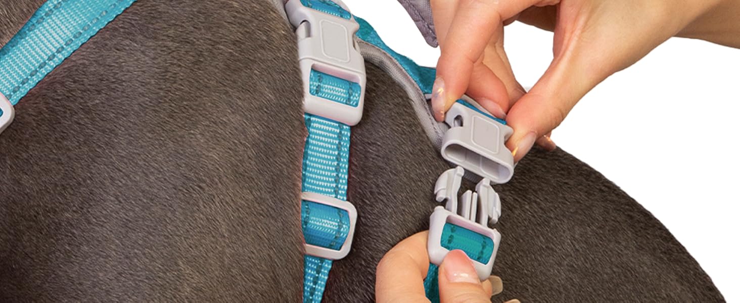 Шлейка безпеки для собак Huntboo, антизламна, зі світловідбиваючими елементами та м'якою ручкою, регульована жилетка для маленьких собак, для прогулянок та тренувань (S, Синій, X-Small, упаковка з 1)