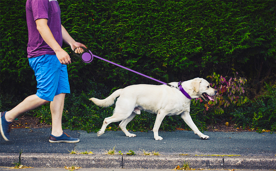 Висувна поводок для собак Taglory, 5м, для середніх та великих собак до 45кг, з надійною системою гальмування та антиковзним руків'ям (фіолетовий)