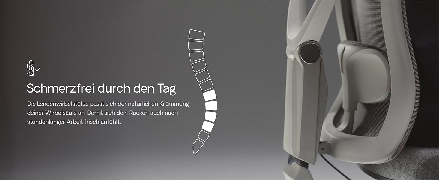 Офісний стіл Desktronic з регулюванням висоти та підтримкою попереку | Комп'ютерний стілець з широким м'яким сидінням (Сірий)