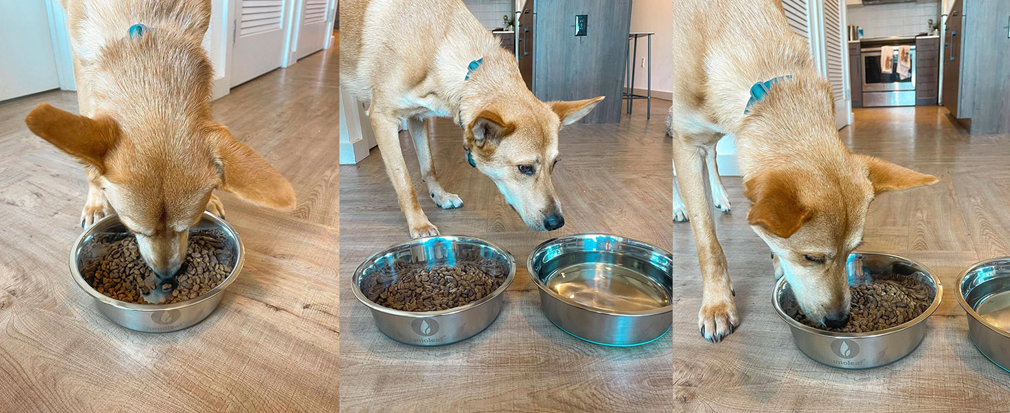 Набір мисок для собак LumoLeaf, нержавіюча сталь, великі, 2 x 3000 мл, з протиковзким силіконовим дном, для великих і середніх собак, миска для їжі та води, придатна для миття в посудомийній машині (подвійний набір)