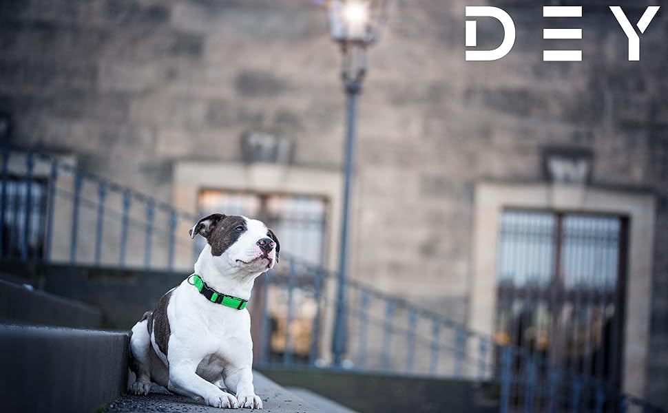 Преміум нашийник для собак DEY Air Mesh | Регульований | для малих, середніх та великих собак | багато кольорів та розмірів | нашийник для собак та котів | нашийники для собак | нашийник для цуценят | Рожевий, M [M/L] - 2,5 x 34-49 см Рожевий