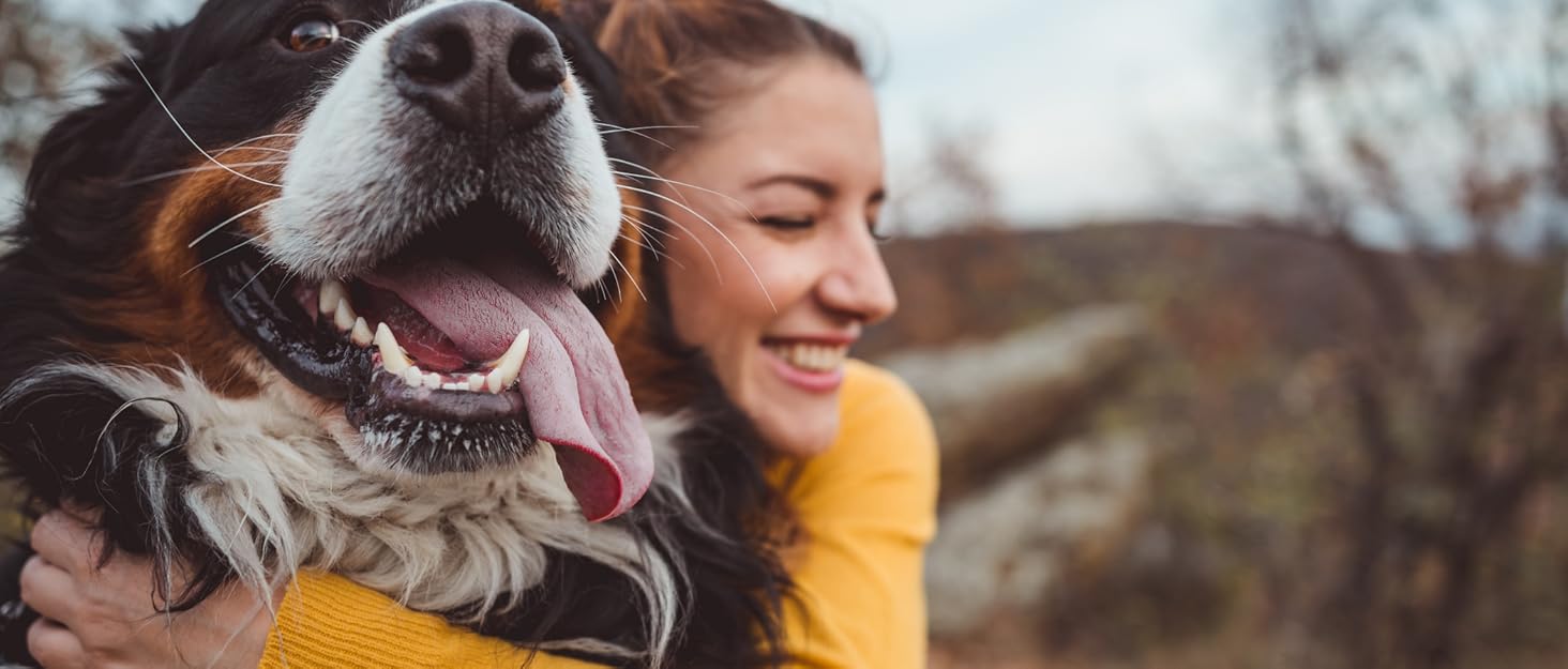 Клітка-переноска для собак Flamingo Lanta XL (60x92x69 см), темно-сірий колір | Безпечна, практична та комфортна