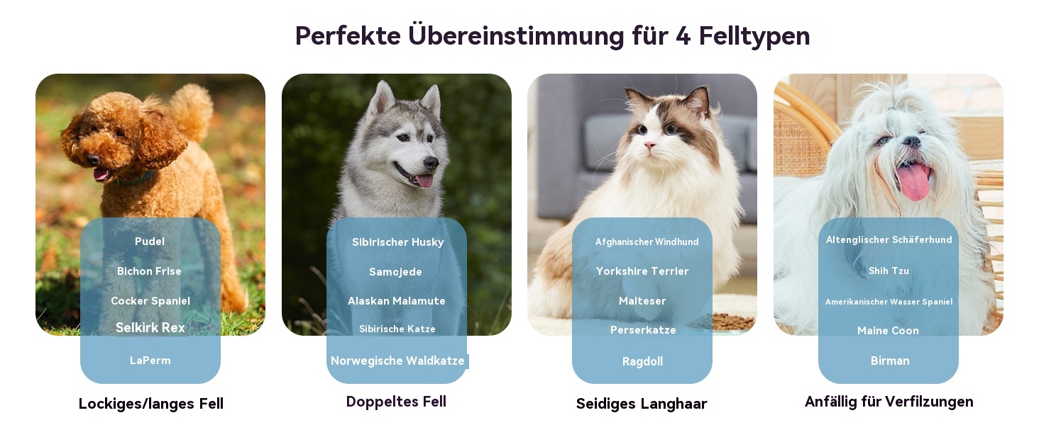 Набір для грумінгу собак великих порід Slicker Bürste: щітка, гребінець для підшерстя та гребінець з нержавіючої сталі. Підходить для собак та котів з підшерстям (голден ретрівер, австралійська вівчарка). Колір: блакитний