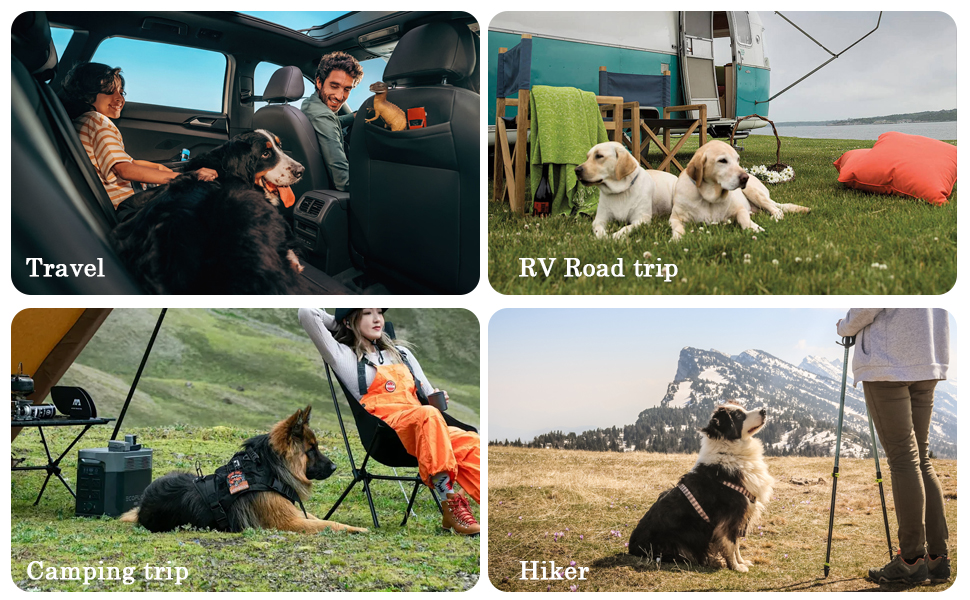 Набір для переноски корму для собак, 2 шт., водонепроникний, до 10 кг. Ідеально для подорожей, кемпінгу та перетримки собак