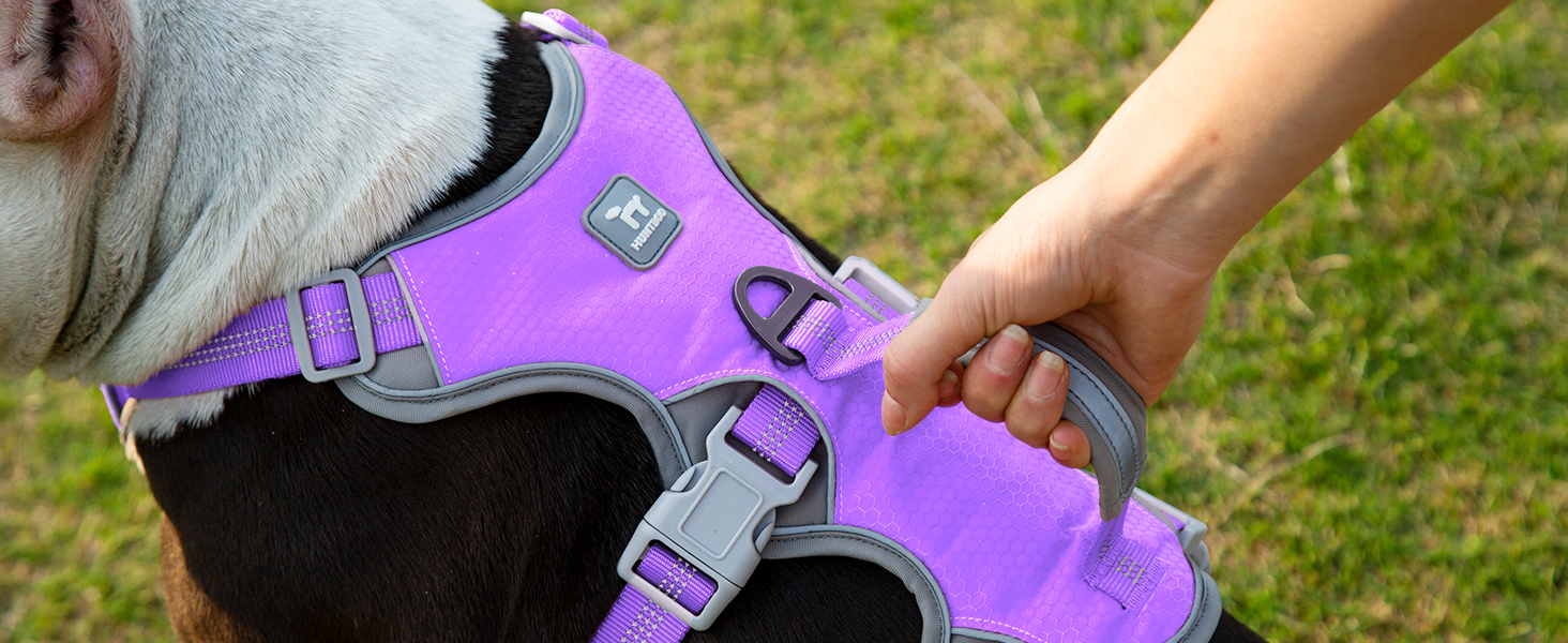 Нашийник для собак Huntboo, великих порід, анти-вислизання, світловідбиваючий, водонепроникний, регульований, для прогулянок та бігу (L, фіолетовий лаванда)