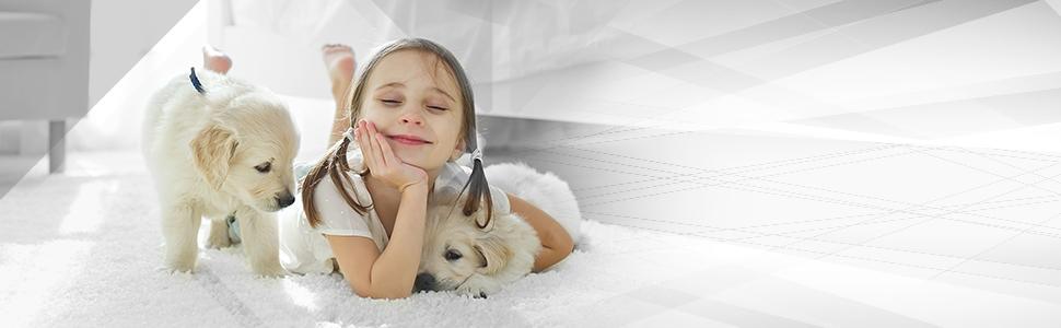 Бездротовий акумуляторний пилосос Genius Invictus X8 Pro FACELIFT: ручний, без мішка, 50 хв роботи, 400 Вт, HEPA фільтр, LED, 12 насадок