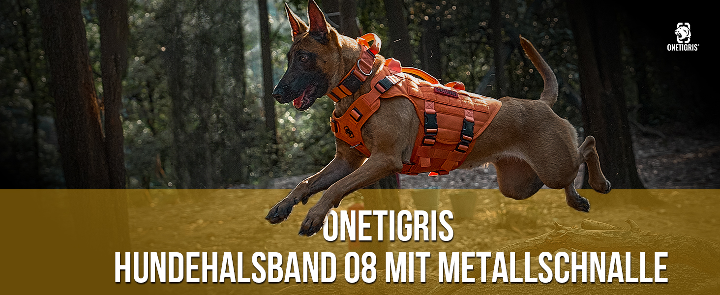 Нашийник для собак OneTigris Ranger з металевою застібкою, зелений, розмір M