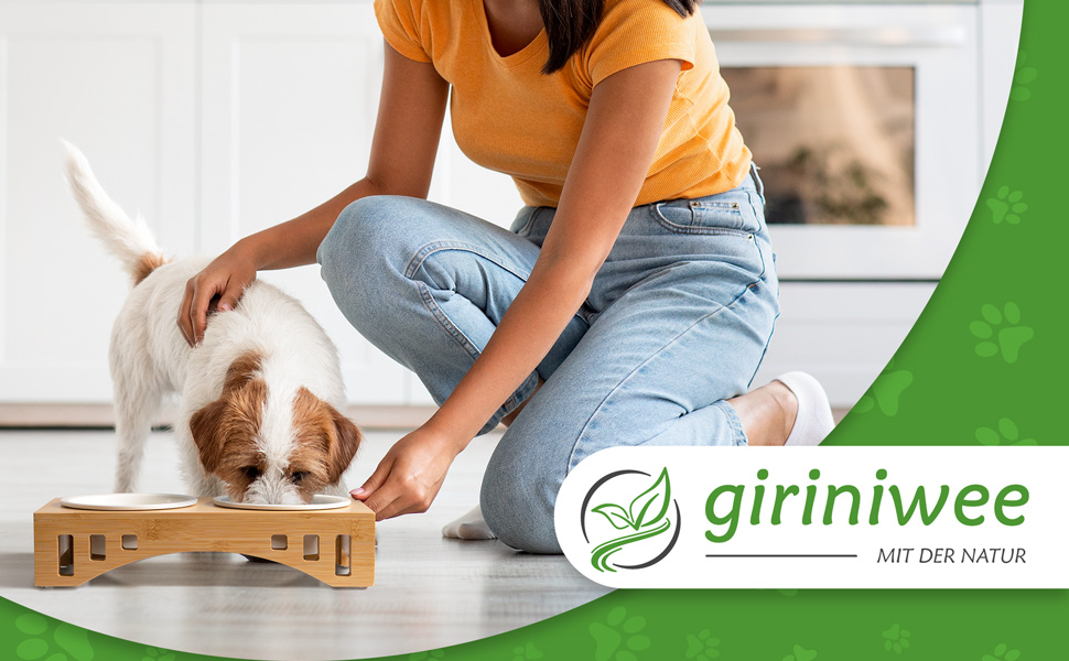 Миска для котів та тварин з бамбукового каркасу, подвійна керамічна миска 400 мл, для кошенят, собак, тварин