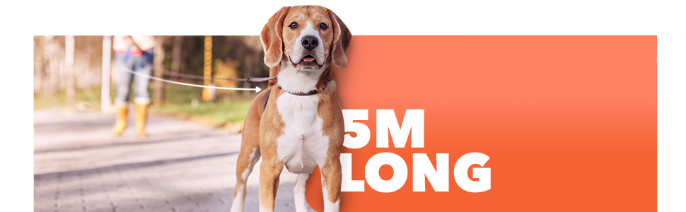 Рулетка для собак FurDreams – міцна висувна повідка 5 м | Зі зручним неслизьким руків'ям та блокуванням | Міцний нейлоновий шнур, що не заплутується | Карабін для нашийника (великий) | Оранжевий, великий