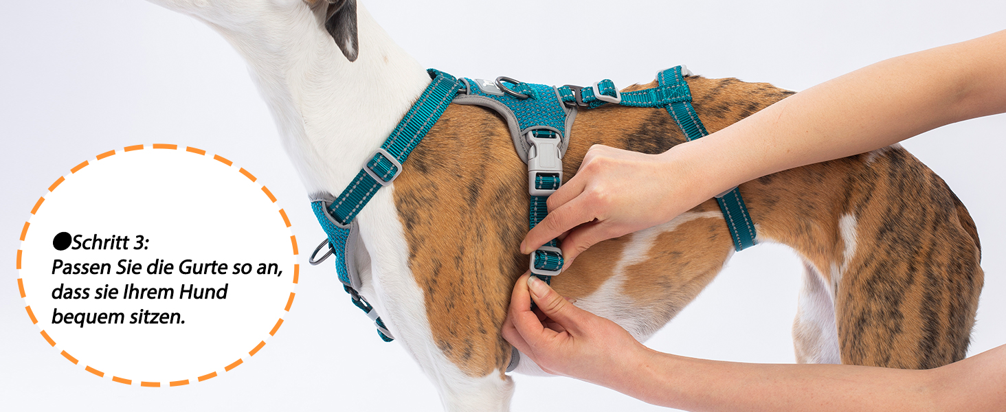 Шлейка Huntboo для собак: безпечна від виривання, антистресова, з відбиваючими елементами, регульована, легка (розмір S, блакитна)