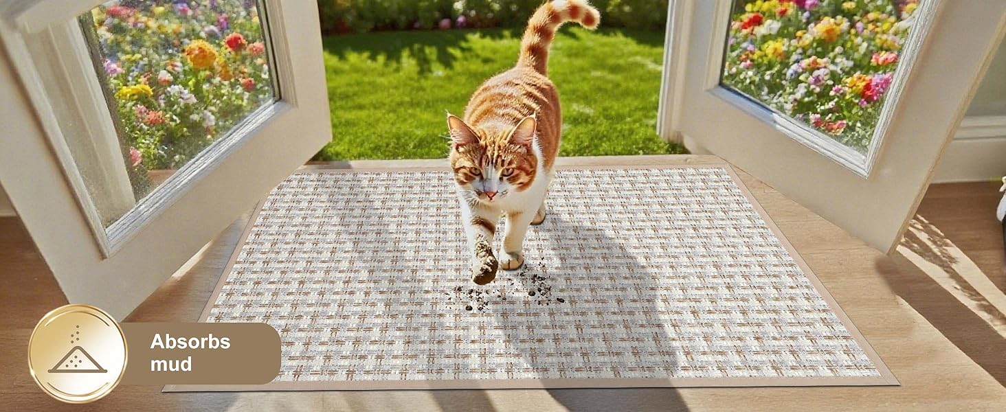 Килимок для дому, антиковзаюча підлога, килимок для входу, 60x90 см, золотий