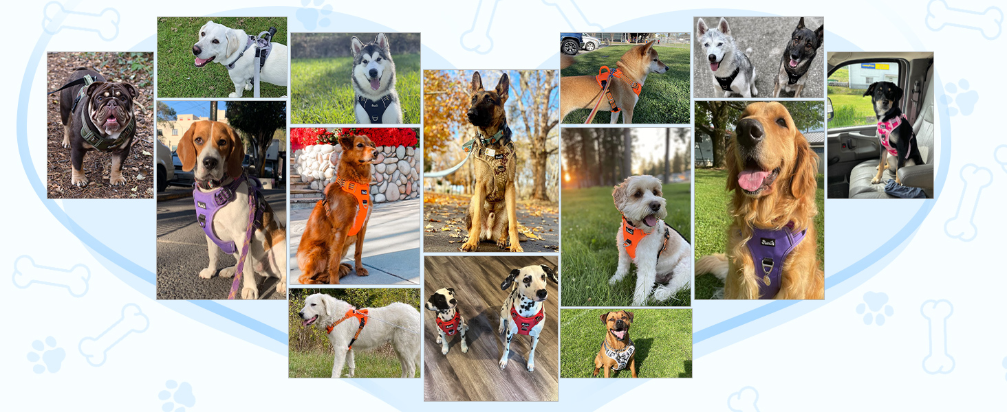 Шлейка для собак великих порід, анти-тяга, з 2 карабінами та зручною ручкою, регульована та світловідбиваюча, з м'якою підкладкою, для щоденних тренувань (Чорний, L) Розмір L (Окружність шиї: 42-60 см, Окружність грудей: 47-86 см) Чорний