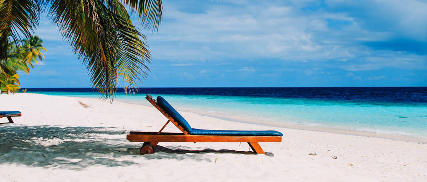 Візок для собак EchoSmile до 20 кг, 4-в-1, чорний. Складаний, з колесами, сітковими віконцями. Підходить для собак та котів середніх розмірів