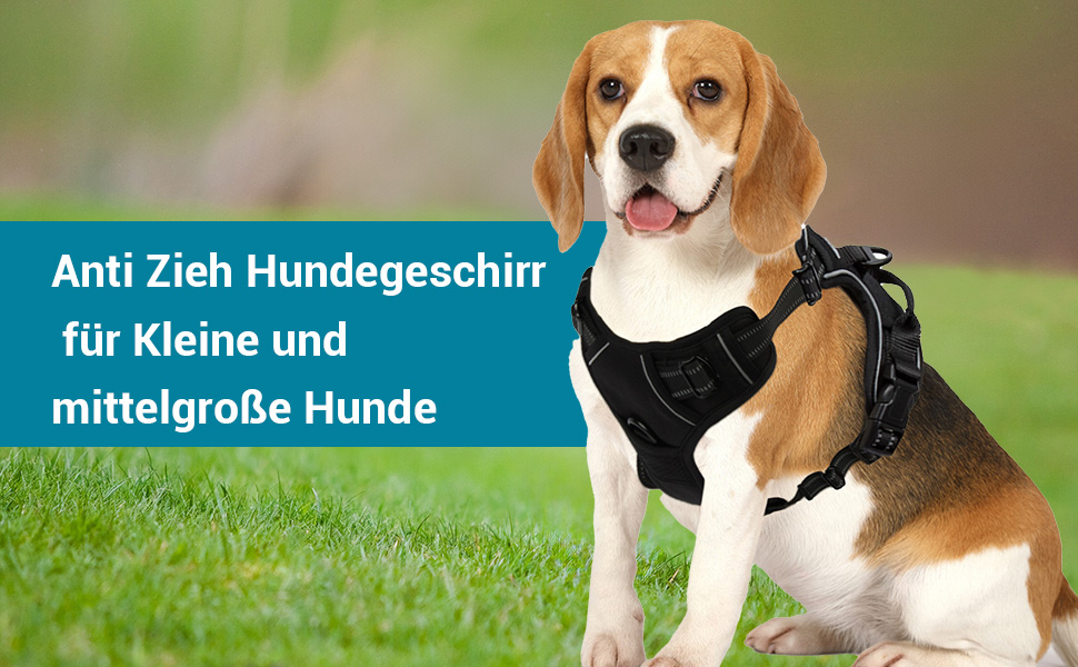 Нагрудник для собак Anti Pull для малих та середніх порід, безпечний, м'який, з регулюванням, дихаючий, з світловідбиваючими смугами (S)