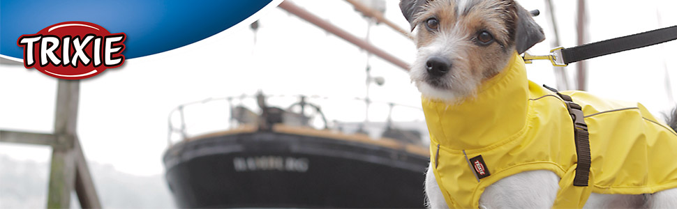 Нашийник TRIXIE Rustic для великих собак, шкіряний, розмір L (47–55 см), сірий