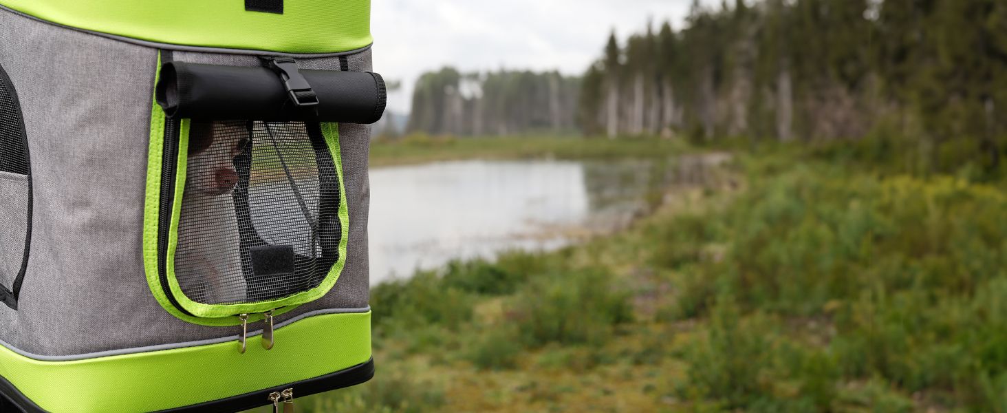 Сумка-рюкзак для транспортування котів Lionto, 34x30x42 см, сіра/зелена