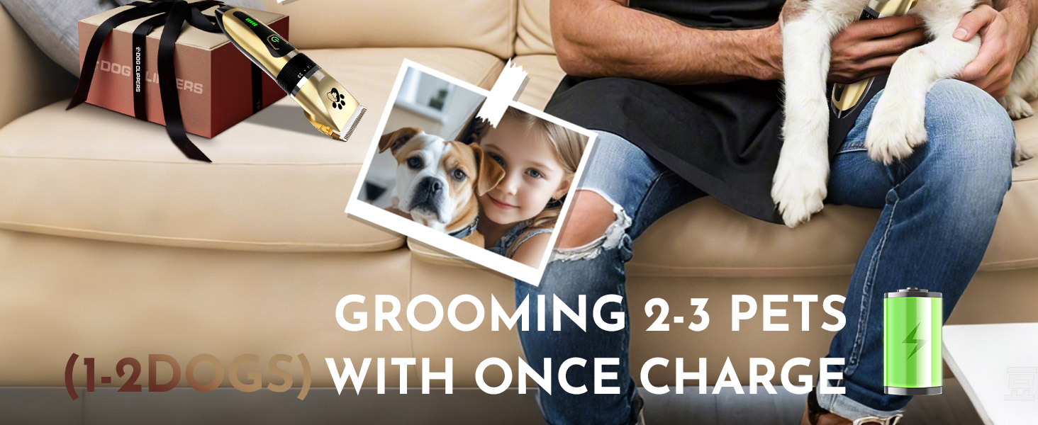 Професійна машинка для стрижки собак та котів Leise, електрична бездротова, 2 швидкості (Золота)