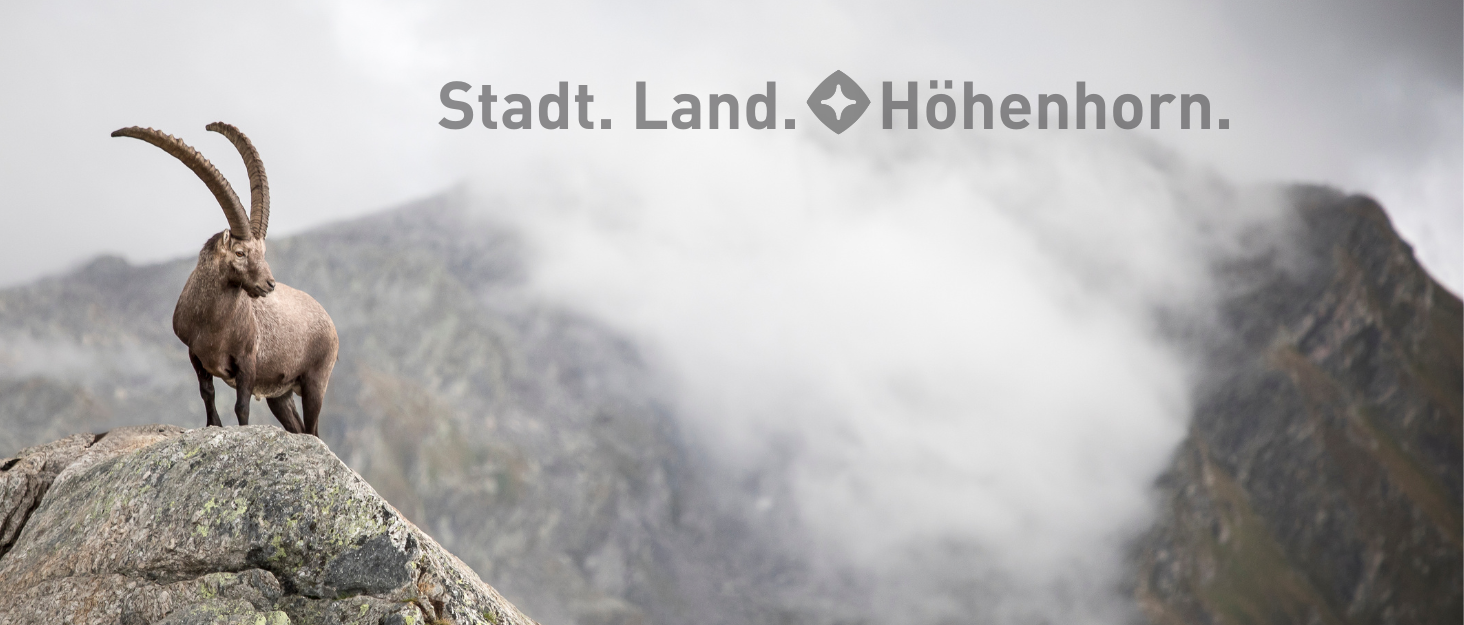 Худі Janga від Höhenhorn для чоловіків, чорний, XXL, з високоякісної бавовни