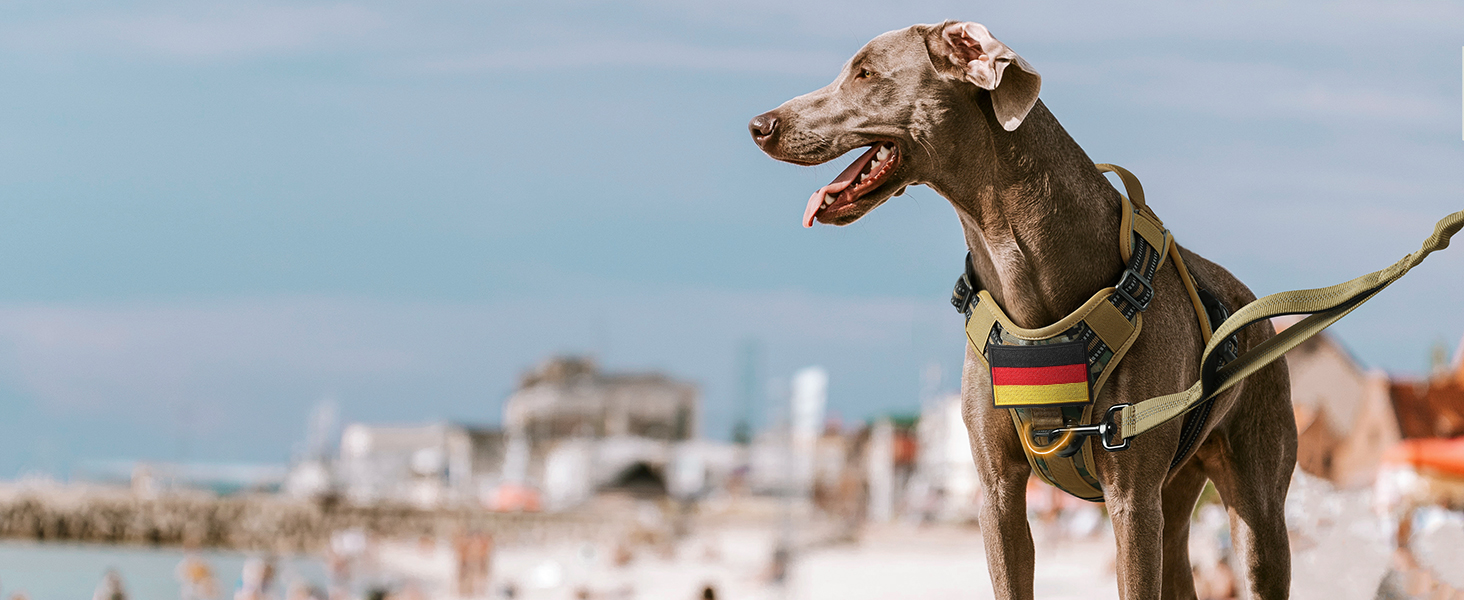 Нагрудник для собак Rabbitgoo середнього розміру, анти-тяга, регульований, з ручками, міцний, тактичний, з металевими пряжками, камуфляжний, коричневий (M, 1 шт.)