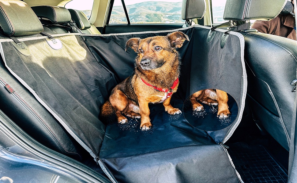 Waterproof & Scratch-Resistant Dog Seat Cover for Car Back Seat - Non-Slip & Side Protection Hammock for Small, Medium & Large Dogs - Single Seat