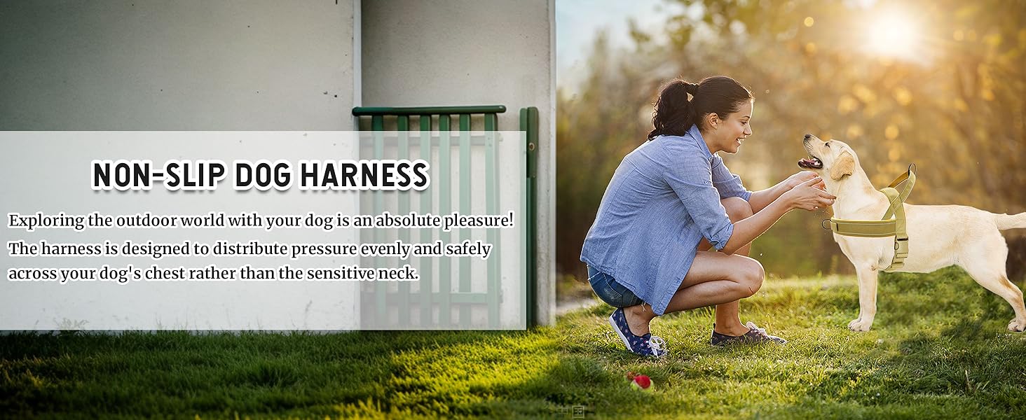 Шлейка для собак, анти-тяга, світловідбиваюча, для середніх та великих собак, регульована, м'яка, дихаюча, для прогулянок та бігу (L), Style2-M