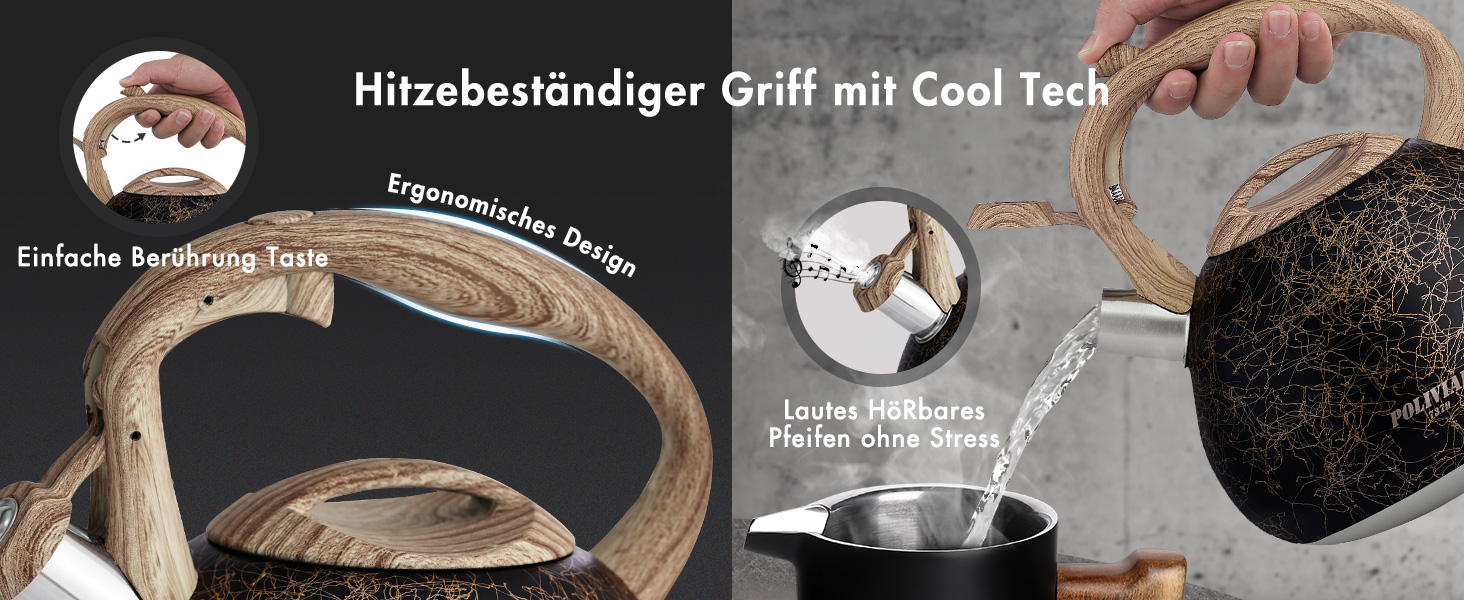 Електричний чайник Poliviar Moderne Induktion, 2.7L, нержавіюча сталь, чорне золото