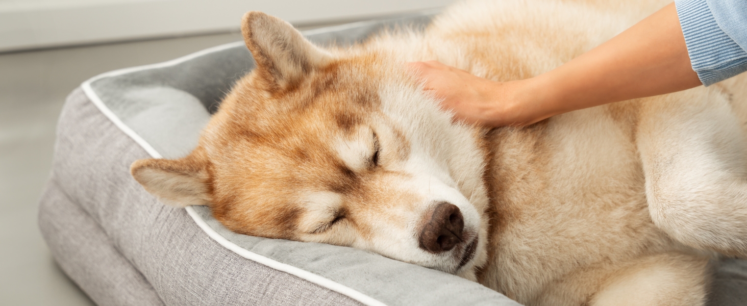 Ортопедичне ліжко для собак Lionto з піднятим бортиком, 97x71x17 см, м'який фланелевий килимок, знімний та пральний чохол, неслизьке, для собак та котів, сірий