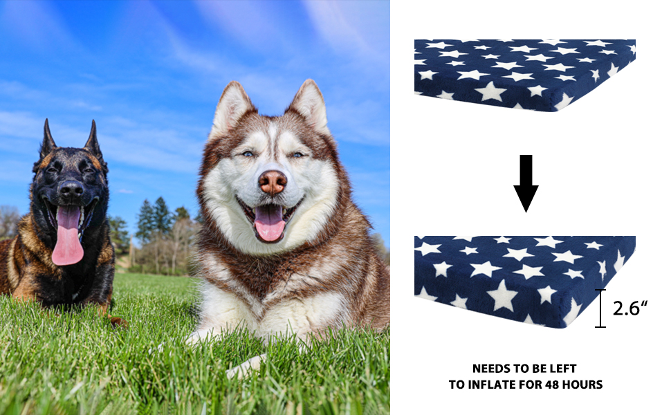 Лежанка для собак EMPSIGN, м'який килимок для перенесення, лежанка для собак знімний та пральний чохол, водонепроникна, для маленьких собак, 61x46x6.6 см, блакитна