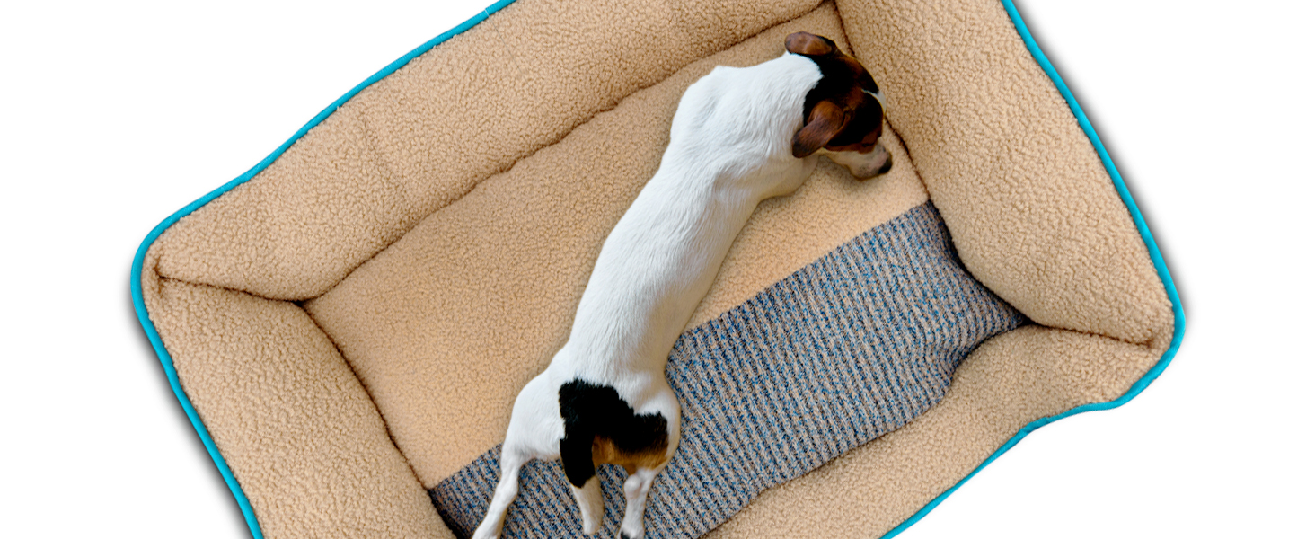 Ліжко для собак та котів, корзина для собак, диван для собак, подушка для собак, ліжко для котів, подушка для котів, S, зелений, 53x42x18 см