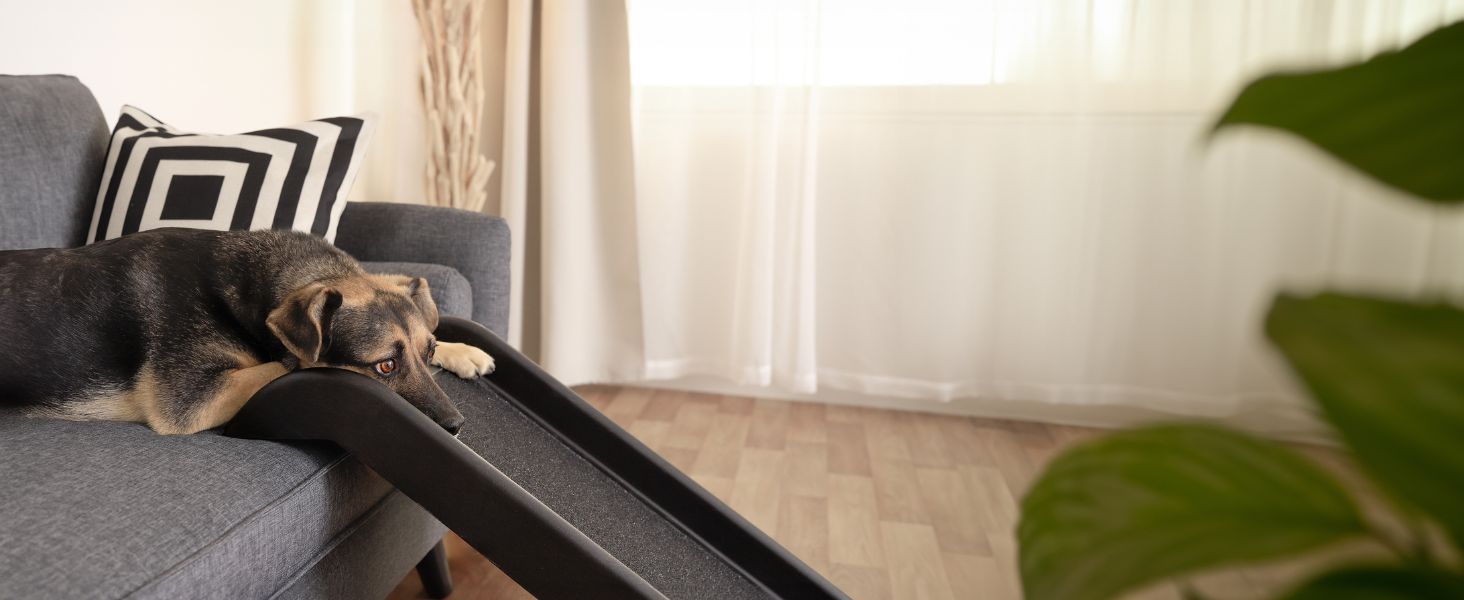 Рампа для собак Lionto до 90 кг, чорна, 100x38 см. Міцна, з антиковзким покриттям, для завантаження в багажник, щадить суглоби.