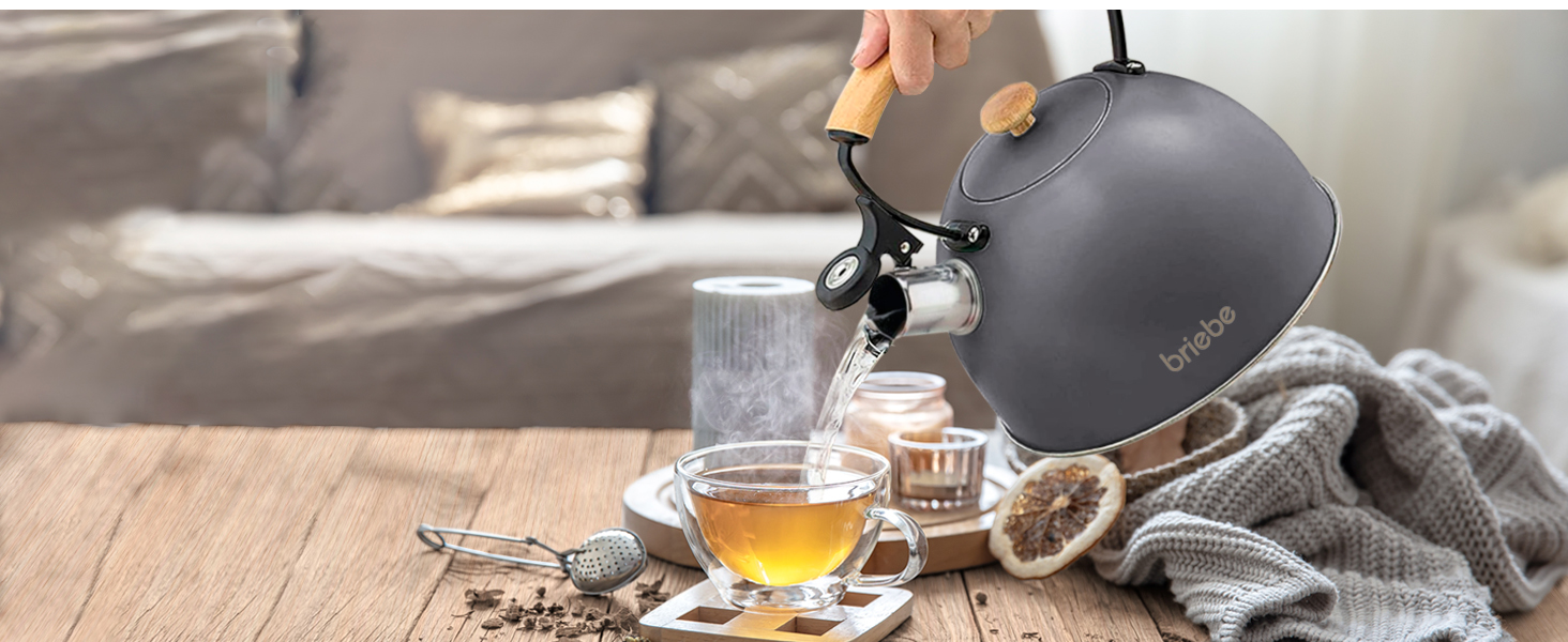 Чайник електричний Nordic Wasserkessel Induktion 2.3L з нержавіючої сталі, для чаю та кави, з нержавіючої сталі, сірий, сумісний з усіма типами плит
