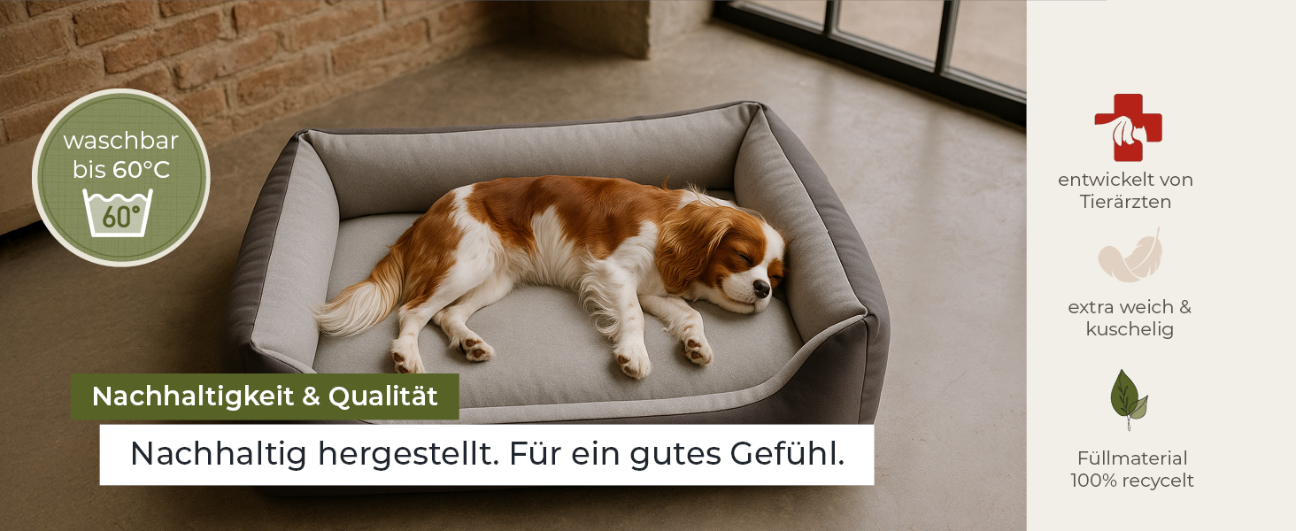 Ліжко для собак Doctor Bark Kleine Hunde - М'яке та зручне ліжечко для собак, миється, зносостійке, пухнасте - Зроблено в Німеччині, GreenLabel (S - 74x55 см, Сірий)