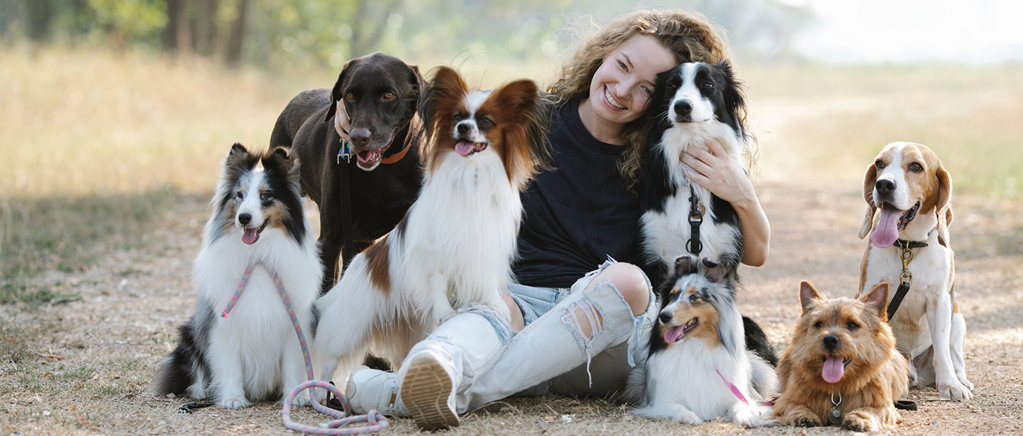 Водонепроникна килимок для собак та котів 95x65 см, складаний, для подорожей та дому