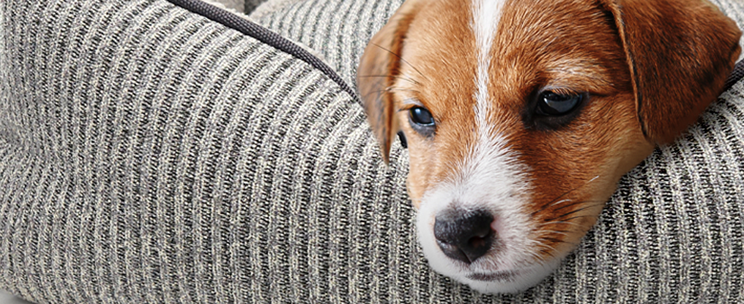 Ліжко для собак та котів, корзина для собак, диван для собак, подушка для собак, ліжко для котів, подушка для котів, S, зелений, 53x42x18 см