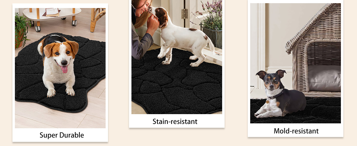 Килимок для дому 50x80 см, антиковзаючий, чорний, для входу, тераси, саду