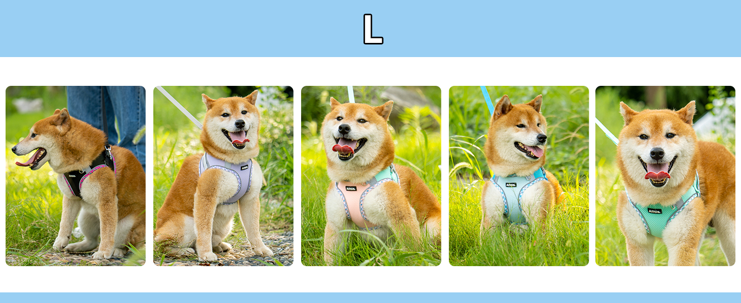 Нашийник та поводок для собак: комплект для прогулянок, нашийник для навчання цуценят, м'який дихаючий аксесуар для домашніх тварин, світловідбиваючі смуги, для дуже маленьких собак та котів, блакитно-рожевий, XXXS