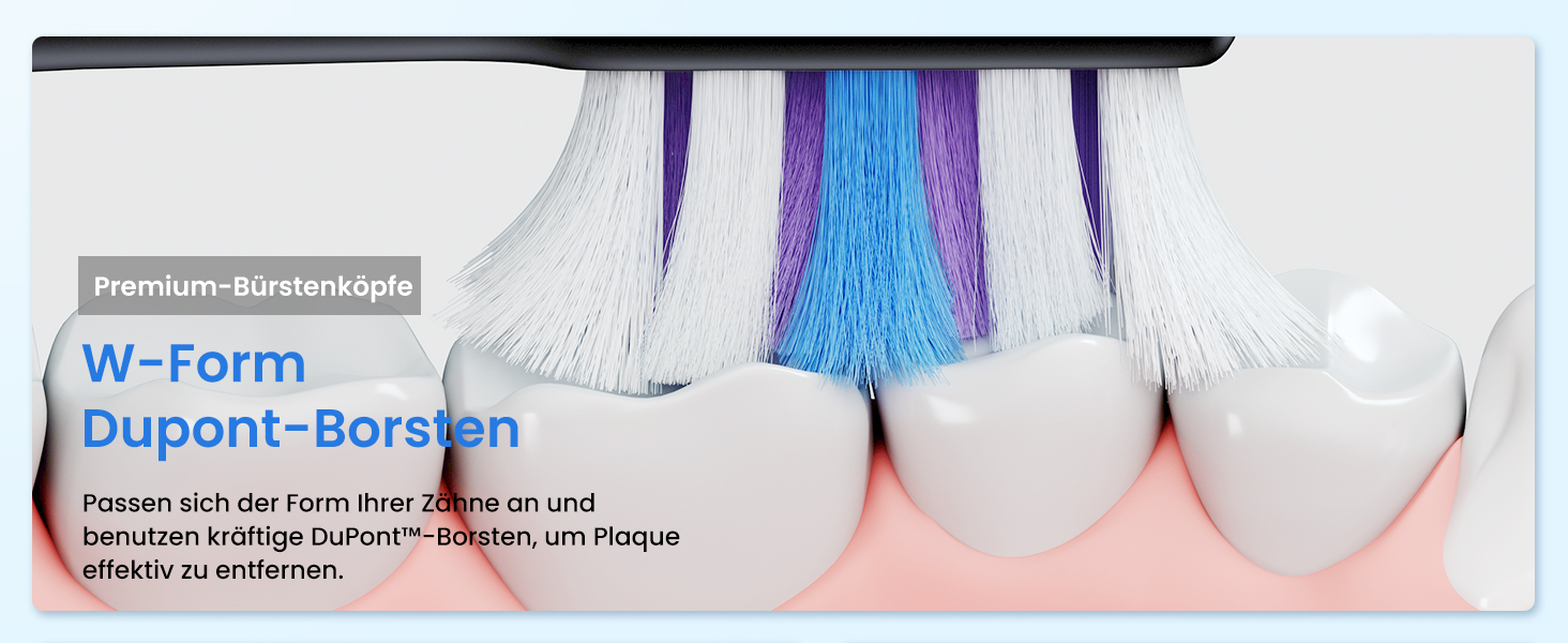 Електрична звукова зубна щітка Etekcity з 5 режимами, 6 насадок, таймер 2 хв, для дорослих та дітей, чорна преміум-модель