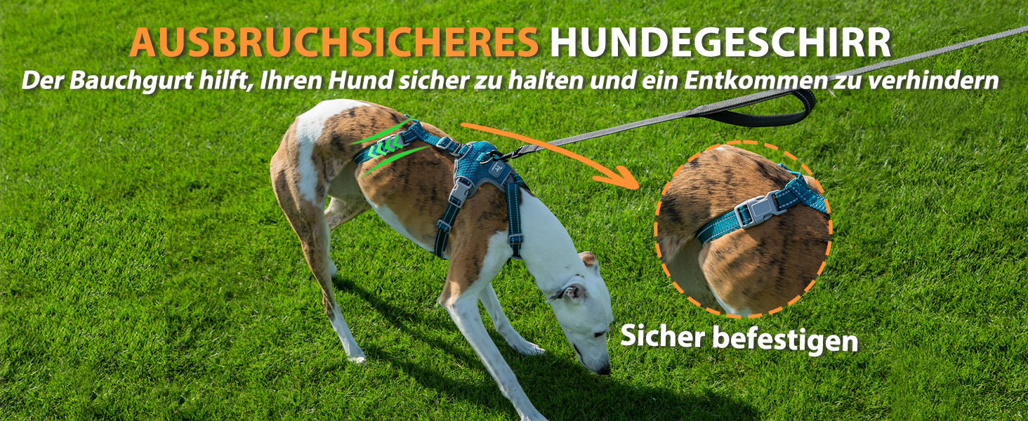 Шлейка Huntboo для собак: безпечна від виривання, антистресова, з відбиваючими елементами, регульована, легка (розмір S, блакитна)