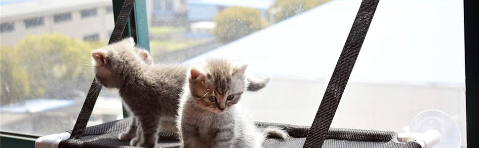 Гніздо для кота на вікно, гамак для котів, підвісна лежанка на крізь, вантажопідйомність до 10 кг