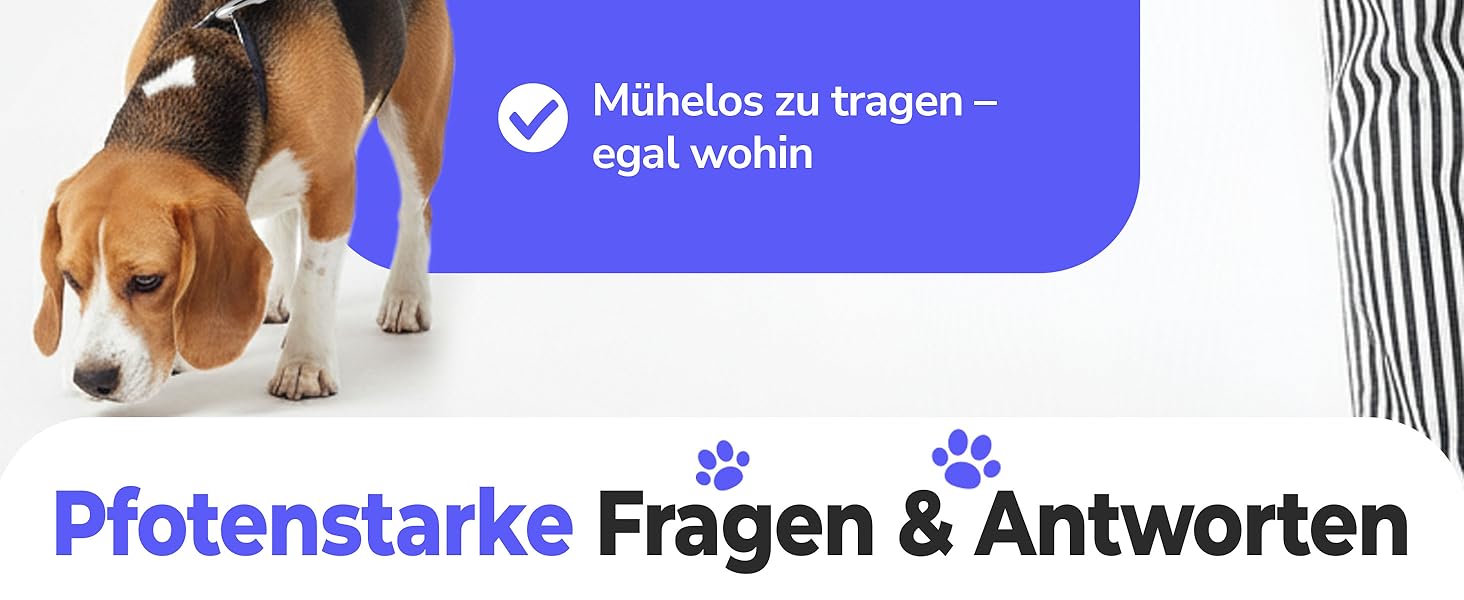 Рулетка для собак 5 м з тримачем для відходів – витяжна повідка для собак будь-якого розміру – повідка з нейлоновою стрічкою 360°, антиковзним руків'ям та кнопкою швидкого гальмування – повідка для собак до 30 кг