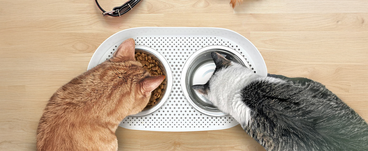Підвищений годівниця для котів ALL FOR PAWS - 3-рівневий регульований підставка для мисок з 2 мисками з нержавіючої сталі (350 мл), антиковзаюча та захищена від розливу, для кошенят, середніх та великих котів (44 * 26 * 19 см)