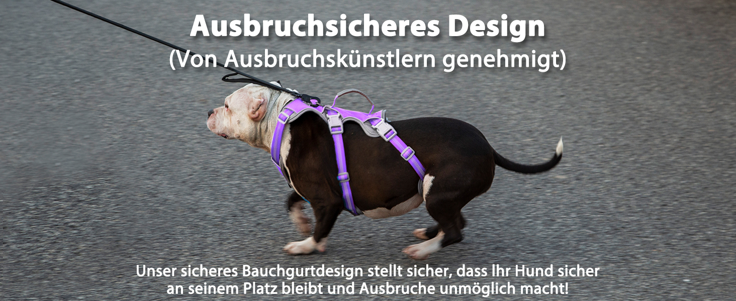 Нашийник для собак Huntboo, великих порід, анти-вислизання, світловідбиваючий, водонепроникний, регульований, для прогулянок та бігу (L, фіолетовий лаванда)