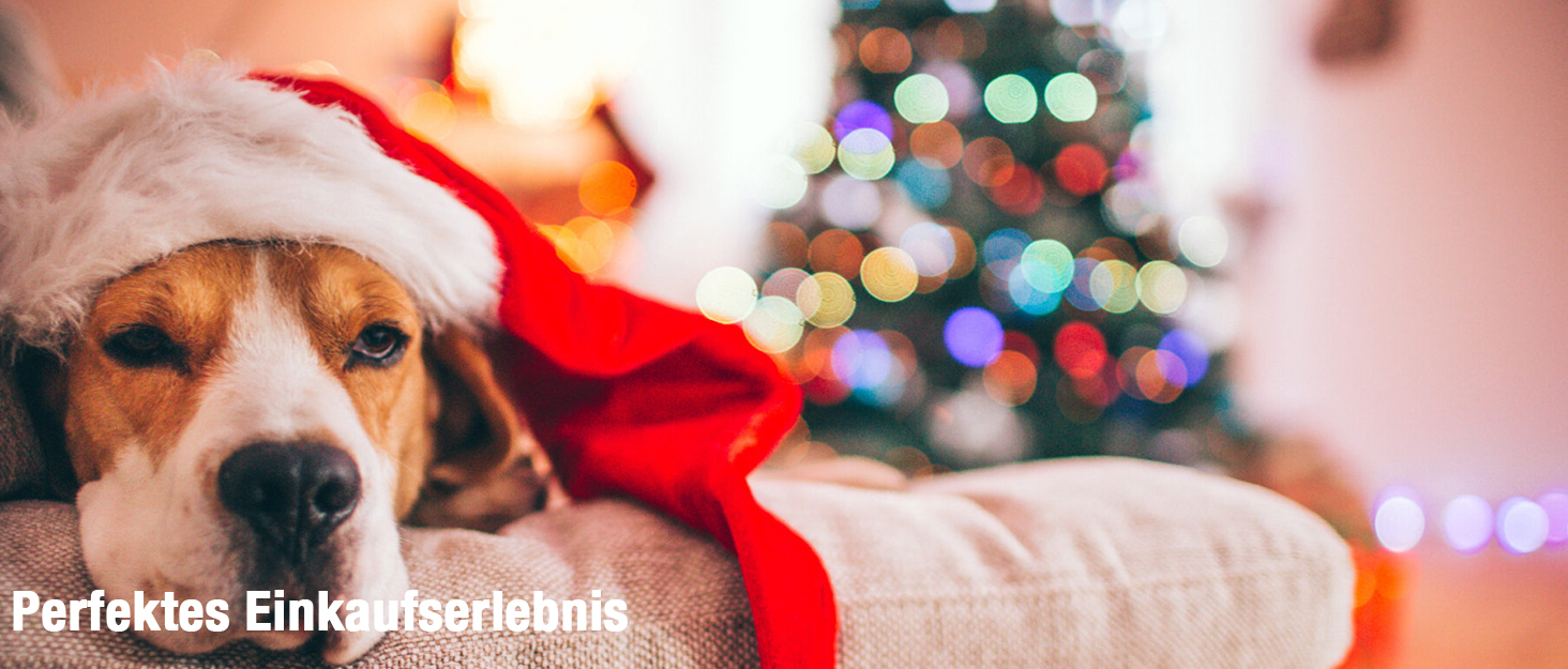 Професійний набір для грумінгу собак Dream Reach 7 дюймів: 440C сталь, набір з 3 ножиць (пряма, вигнута, розріджуюча)