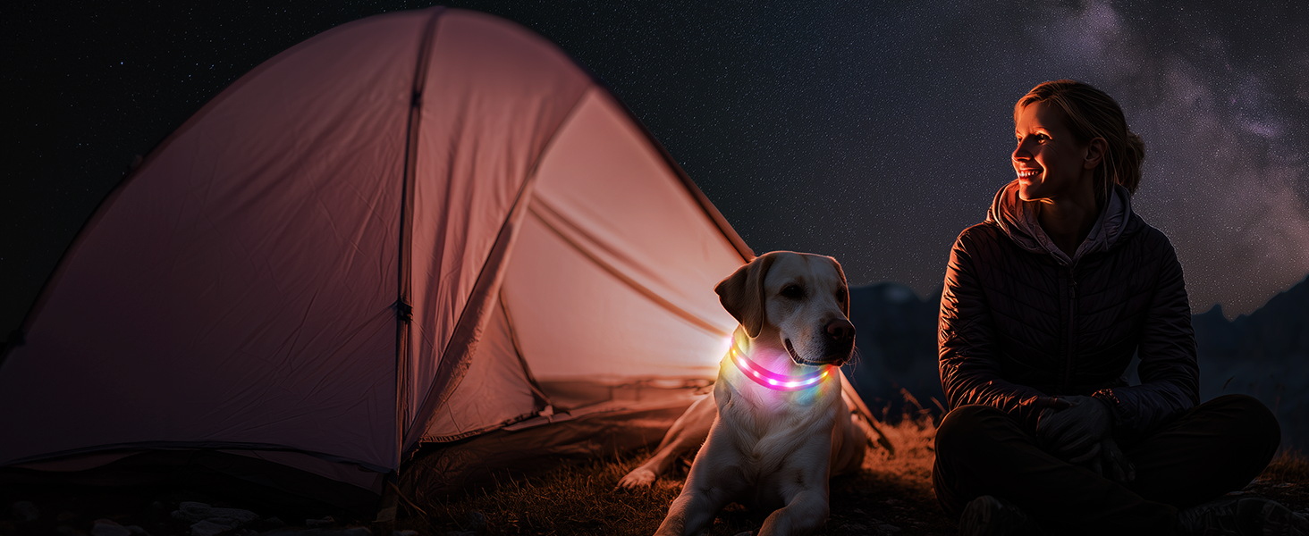 Світлодіодне нашийник для собак Feycig - USB, водонепроникний, 3 режими, регульований, для малих, середніх та великих собак (Рожевий, L(48-60см))