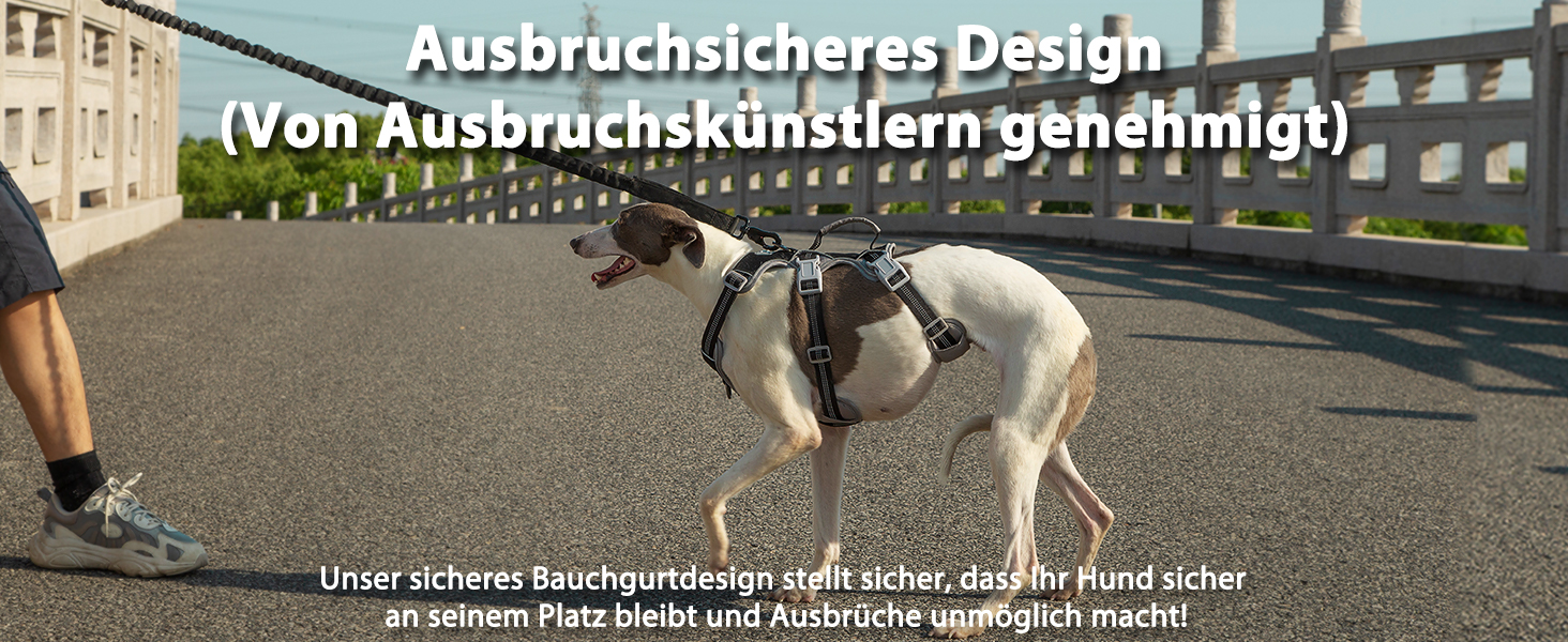 Нашийник для собак Huntboo, великі породи, анти-злам, світловідбиваючий, водонепроникний, регульований, для прогулянок та бігу (Чорний, L, упаковка з 1)