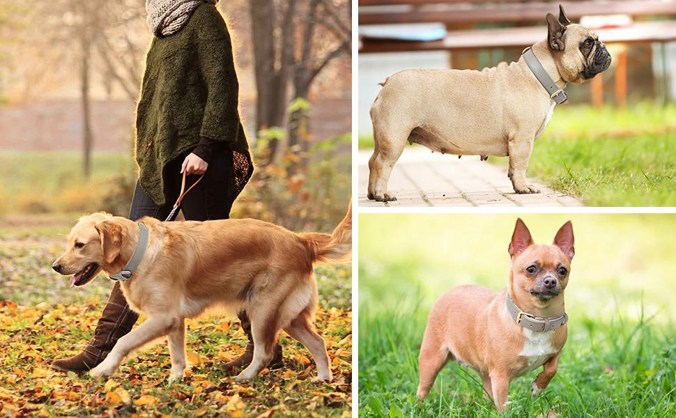 Нашийник для собак Heele з натуральної шкіри, регульований, для великих собак, сірий (1 шт.)