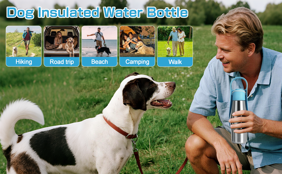 Водяна пляшка для собак на прогулянці - не протікає, з нержавіючої сталі, подвійні стінки, вакуумна ізоляція, 750 мл (Блакитна)