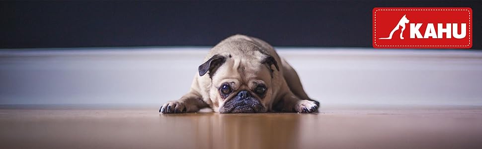 Кімоно® Складаний килимок для собак у подорожах (60x80 см) • Переносний килимок для собак • Подорожній килимок для собак у вигляді сумки • Лежанка для собак для подорожей • Килимок для собак, який можна прати • Колір: Сірий