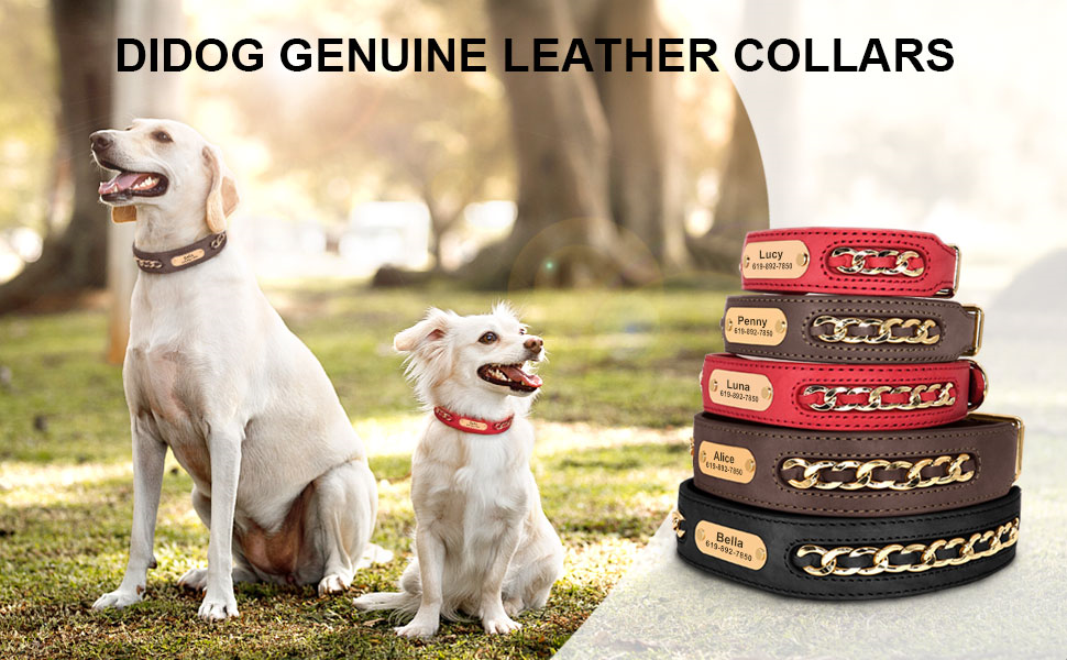 Стильний шкіряний нашийник для собак Didog: чорний, регульований, з гравіюванням, L (17.0-20.0 см)