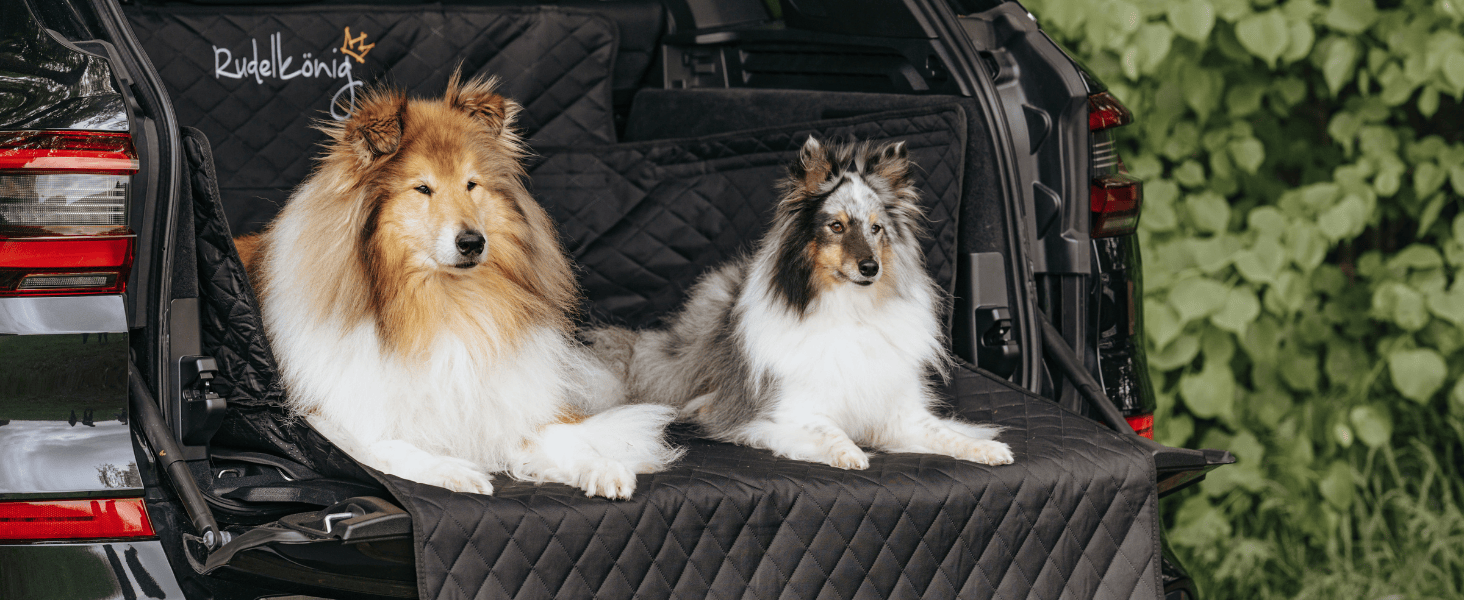 Захист для багажника автомобіля від бруду та подряпин для собак Rudelkönig - Водовідштовхувальна, з кишенею, універсальна захисна килимок для багажника, чорний, стеганий